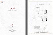 珑悦