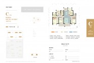 C户型