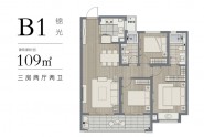B1锦光